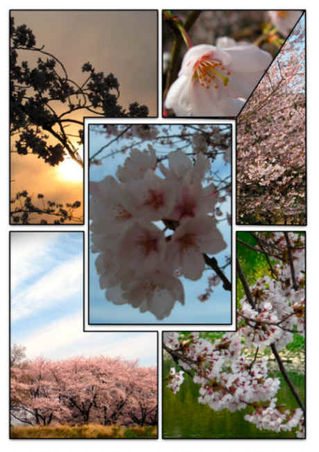 Fr&uuml;hling