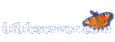 www.bibleserver.com